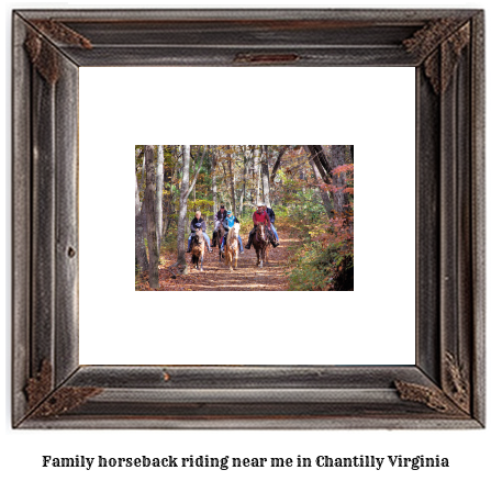 family horseback riding near me in Chantilly, Virginia